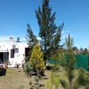 IMG-20220202-WA0098_copy_600x800