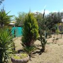 IMG-20220202-WA0100_copy_600x800