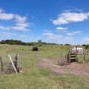 IMG_20220208_152825_copy_800x600