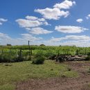 IMG_20220208_152842_copy_800x600