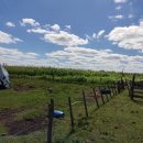 IMG_20220208_152939_copy_800x600