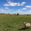 IMG_20220208_152948_copy_800x600