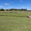 IMG_20220208_153015_copy_800x600