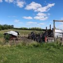 IMG_20220208_153346_copy_800x600