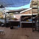 IMG_20250513_143538_copy_1024x768