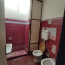 IMG_20250522_095046_copy_576x768