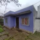 IMG_20250717_154135_copy_1024x768