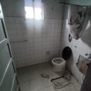 IMG_20250717_154333_copy_576x768