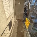 IMG_20250805_170826_copy_768x1024