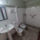 IMG_20250805_171003_copy_768x576