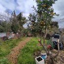 IMG_20250808_112705_copy_1024x768