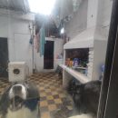 IMG_20250917_104815_copy_1024x768