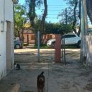 IMG_20260413_103906528_HDR_copy_426x947