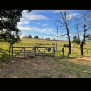 Screenshot_20260225-150152.Visordedocumentos_copy_356x792