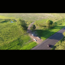 Screenshot_20260225-150222.Visordedocumentos_copy_356x792