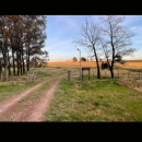 Screenshot_20260225-150228.Visordedocumentos_copy_356x792