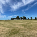 Screenshot_20260225-150230.Visordedocumentos_1_copy_356x270