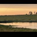 Screenshot_20260225-150305.Visordedocumentos_copy_356x792