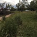 Webp.net-resizeimage - 2020-07-07T092447.618