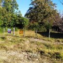 Webp.net-resizeimage (57)