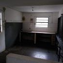 Webp.net-resizeimage (75)