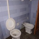 Webp.net-resizeimage (76)