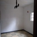 Webp.net-resizeimage (81)