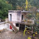 Webp.net-resizeimage (83)